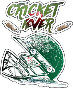 cricket fever helmet bails ball graphic t shirt